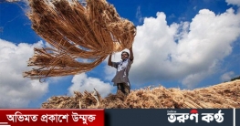 নানা আয়োজনে উদযাপিত হবে জাতীয় পাট দিবস