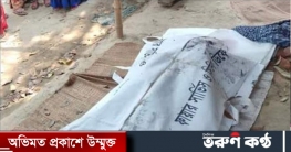 মান্দায় আগুনে পুড়ে বৃদ্ধার মৃত্যু