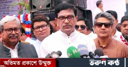 নির্বাচনে অংশ নিয়ে বিএনপি নিজেদের অস্তিত্ব টিকিয়ে রাখুক: হানিফ