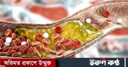 রক্তে ভালো কোলেস্টেরল বাড়াতে