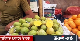 পহেলা বৈশাখকে কেন্দ্র করে চড়া দামে কাঁচা আম