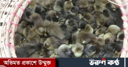 হাঁসের ছানার বদলে আসছে ভারতীয় দামি মদ! হাঁসের ছানার বদলে আসছে ভারতীয় দামি মদ!