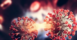 ২৪ ঘণ্টায় ১১ জনের করোনা শনাক্ত