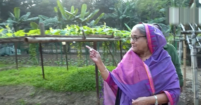 প্রধানমন্ত্রী শেখ হাসিনা