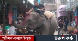 নড়াইলে চলছে হাতি দিয়ে প্রকাশ্য চাঁদাবাজি নড়াইলে চলছে হাতি দিয়ে প্রকাশ্য চাঁদাবাজি