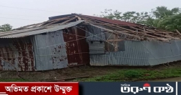 রেমালের তাণ্ডব দেখতে পটুয়াখালী যাচ্ছেন প্রধানমন্ত্রী