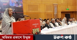 ‘আমাদের বাড়িতে যারা ওঠা-বসা করত তারাই বেইমানি করেছে’