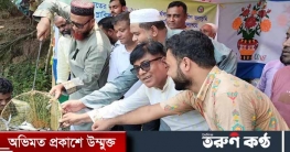 ভালুকায় বিভিন্ন জলাশয়ে পোনামাছ অবমুক্ত 