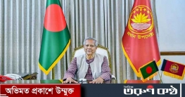 শুধু হিন্দু সম্প্রদায়ের নয়, দুর্গাপূজা সর্বজনীন উৎসব: ড. ইউনূস