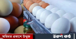 ফ্রিজে ডিম রাখা হতে পারে বিপদের কারণ!