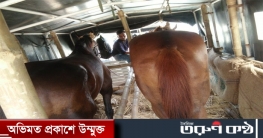 বাংলাদেশ সেনাবাহিনীকে ঘোড়া উপহার দিলো ভারতীয় সেনাবাহিনী