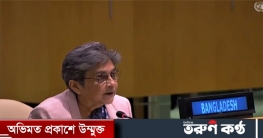 ইসরাইলি আগ্রাসনের অবসানে সত্যিকারের প্রচেষ্টা নিতে হবে: বাংলাদেশ ইসরাইলি আগ্রাসনের অবসানে সত্যিকারের প্রচেষ্টা নিতে হবে: বাংলাদেশ