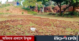জমিদার বাড়ির উঠানে এখন শুকানো হচ্ছে গোবর 