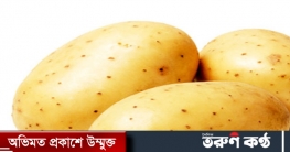 নিষেধাজ্ঞা কাটলেও এ বছর আলু যাচ্ছে না রাশিয়ায়