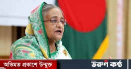 সাড়ে তেরো বছরে উন্নয়নের সব সূচকে এগিয়েছে বাংলাদেশ সাড়ে তেরো বছরে উন্নয়নের সব সূচকে এগিয়েছে বাংলাদেশ