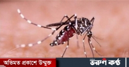 নতুন ১২ ডেঙ্গু রোগী হাসপাতালে ভর্তি নতুন ১২ ডেঙ্গু রোগী হাসপাতালে ভর্তি
