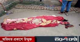 মেহেরপুরে শ্বাশুড়িকে  কুপিয়ে হত্যা করেছে জামাই