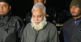 যুদ্ধাপরাধ মামলায় মৃত্যুদণ্ডের আসামি নাজমুল বগুড়ায় গ্রেপ্তার