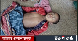 শাল্লায় ট্রলি থেকে পড়ে শিশুর মৃত্যু শাল্লায় ট্রলি থেকে পড়ে শিশুর মৃত্যু
