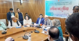 মসলার বাজার স্থিতিশীল রাখতে আমদানি শুল্ক শিথিলের দাবি ব্যবসায়ীদের