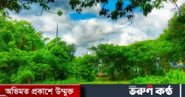 ​​​​​​​আন্তর্জাতিক বন দিবস আজ