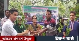 মনামিনা’র পক্ষ থেকে শিক্ষক-শিক্ষার্থীদের মধ্যে চারা বিতরণ