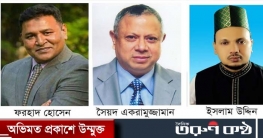 নাসিরনগরে হেভিওয়েট স্বতন্ত্র প্রার্থীতে বেকায়দায় আওয়ামী লীগ