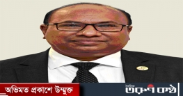 উপ-ব্যবস্থাপনা পরিচালক  পদে পদোন্নতি লাভ করলেন মো. হাবিবুর রহমান