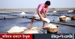 লবণ চাষে ঋণ মিলবে সহজ শর্তে