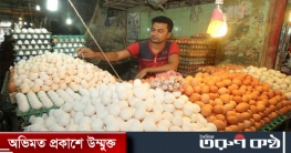 আবারও ডিমের দাম চড়া, অস্বস্তি ক্রেতাদের