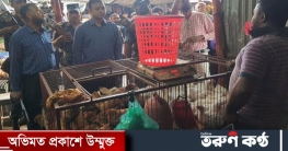 নড়াইলে ৯ প্রতিষ্ঠানকে ১২ হাজার ৫০০ টাকা জরিমানা