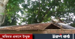 পাংশায় ঝড়ের কবলে শিক্ষা প্রতিষ্ঠানের ব্যাপক ক্ষতি