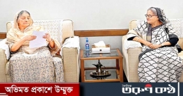 প্রধানমন্ত্রীর সঙ্গে সাক্ষাৎ করতে গণভবনে রওশন এরশাদ প্রধানমন্ত্রীর সঙ্গে সাক্ষাৎ করতে গণভবনে রওশন এরশাদ