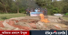 তেতুলিয়া নদীতে অভিযান ১২ লক্ষ টাকার জাল জব্দ