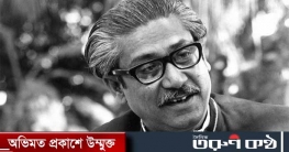 বঙ্গবন্ধুর জন্মদিনে আওয়ামী লীগের কর্মসূচি