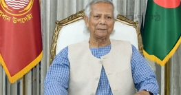 নির্বাচন বানচালে বড় শক্তি কাজ করবে:প্রধান উপদেষ্টা নির্বাচন বানচালে বড় শক্তি কাজ করবে:প্রধান উপদেষ্টা