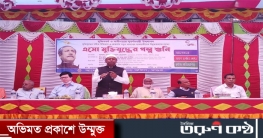 শালিখায় জেলা তথ্য অফিসের আয়োজনে এসো মুক্তিযুদ্ধের গল্প শুনি 