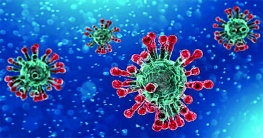 প্রায় ৯০০ জনের করোনা শনাক্ত, মৃত্যু ৩ জনের প্রায় ৯০০ জনের করোনা শনাক্ত, মৃত্যু ৩ জনের