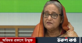 ভূমিহীন পরিবার পেলে তাদের ঘরের ব্যবস্থা করে দেব : প্রধানমন্ত্রী