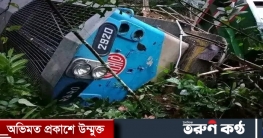 জতীয় উদ্যানে গাছের সাথে ধাক্কা লেগে ট্রেনে  ইঞ্জিন,বগি লাইনচ্যুত
