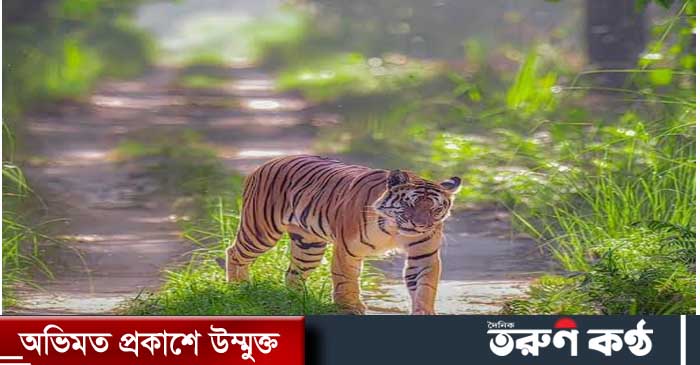 ফটোগ্রাফার: সুদীপ দাস