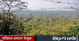 অস্তিত্ব সংকটে পাথারিয়া হিল ফরেস্ট