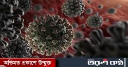 করোনায় আরও তিনজনের মৃত্যু, শনাক্ত ২৯৫ করোনায় আরও তিনজনের মৃত্যু, শনাক্ত ২৯৫