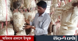 মাশরুম চাষে ভাগ্যবদল