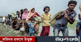 রোহিঙ্গাদের জন্য আরো ১৭০ মিলিয়ন ডলার দেবে যুক্তরাষ্ট্র রোহিঙ্গাদের জন্য আরো ১৭০ মিলিয়ন ডলার দেবে যুক্তরাষ্ট্র