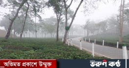 শ্রীমঙ্গলে বইছে হিম বাতাস, তাপমাত্রা ১৩. ৬