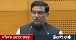 বঙ্গবন্ধুর উত্তরাধিকারীকে নিয়ে এখনও ষড়যন্ত্র চলছে : হানিফ