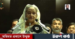 ‘শেখ হাসিনা ও আওয়ামী লীগ কখনো পালায় না’