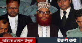 দেলাওয়ার হোসাইন সাঈদীর মৃত্যুতে বিএনপির শোক