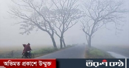 ৫ ডিগ্রি তাপমাত্রায় কাঁপছে পঞ্চগড়